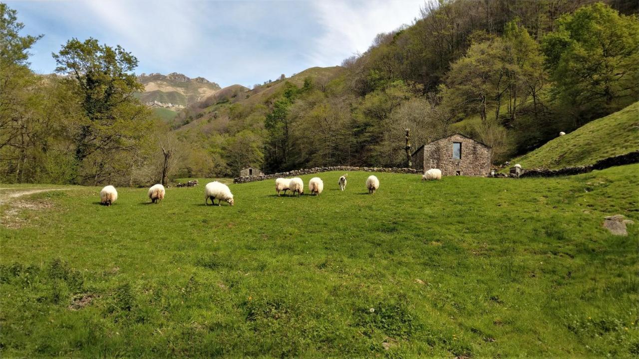 Pidream Cottage . Cabanas De Pisuena Selaya Εξωτερικό φωτογραφία