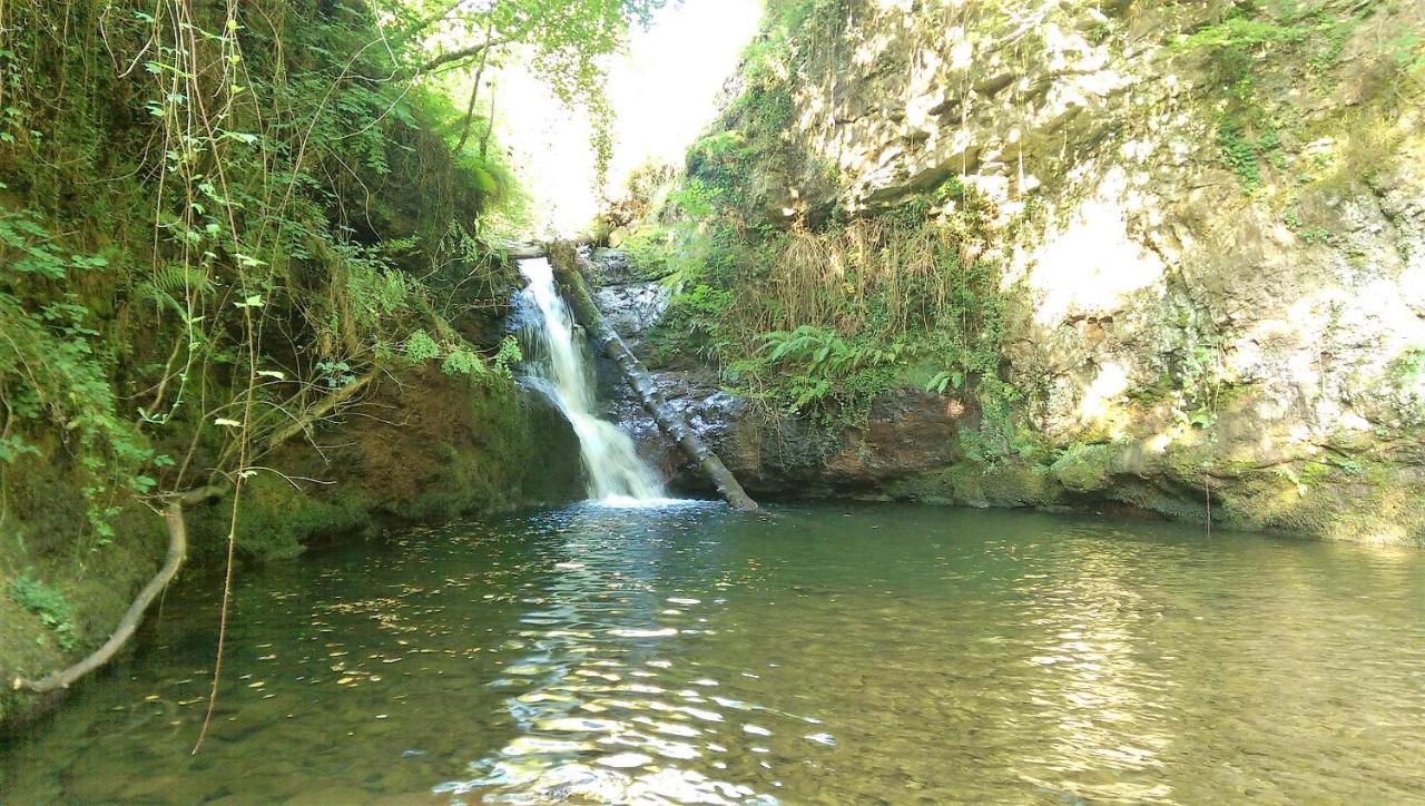 Pidream Cottage . Cabanas De Pisuena Selaya Εξωτερικό φωτογραφία